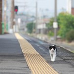 一人旅 一人旅