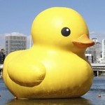 巨大アヒル 巨大アヒル