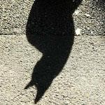 かげ かげ