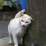 ごしごし ごしごし