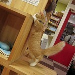 うにょーん うにょーん