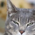 怒ってない 怒ってない