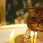 Happy Birthday Happy Birthday