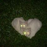 ♥ ♥