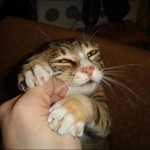 ぬふーん ぬふーん