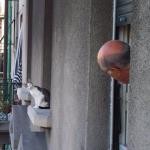呼んだ? 呼んだ?