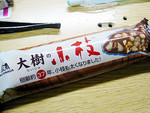 大樹の小枝 大樹の小枝