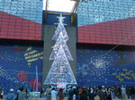 shinta2miffy2005-10-30 shinta2miffy2005-10-30