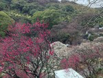 shintabi2014-02-02 shintabi2014-02-02