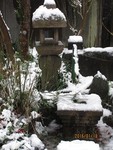shirasagikara2016-01-25 shirasagikara2016-01-25