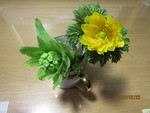 shirasagikara2016-02-25 shirasagikara2016-02-25