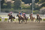 shugoro2014-04-06 shugoro2014-04-06