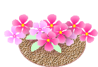 sirobara2018-08-18 sirobara2018-08-18