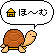 かめ かめ