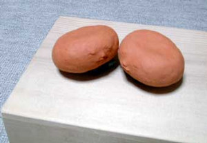 takanabe1999-05-16 takanabe1999-05-16