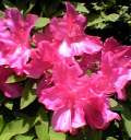 takanabe2003-05-13 takanabe2003-05-13