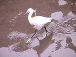 takanabe2003-07-22 takanabe2003-07-22