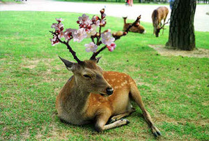 takanabe2006-03-27 takanabe2006-03-27