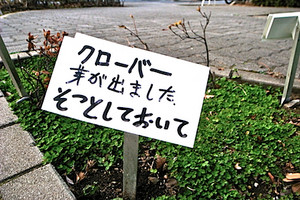 takanabe2010-03-14 takanabe2010-03-14