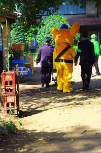 takanabe2010-05-13 takanabe2010-05-13
