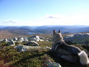tapio2006-10-10 tapio2006-10-10