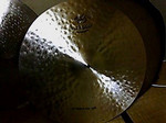 taro-wof2005-10-16 taro-wof2005-10-16