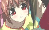 taske2006-06-04 taske2006-06-04