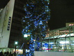 tatsumine2008-11-22 tatsumine2008-11-22