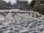 tokagex2008-02-07 tokagex2008-02-07
