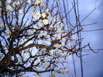 tokagex2008-02-10 tokagex2008-02-10
