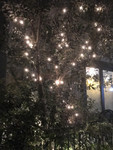 tokyomoon2018-12-16 tokyomoon2018-12-16