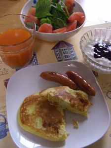 tomosyoku2007-04-14 tomosyoku2007-04-14