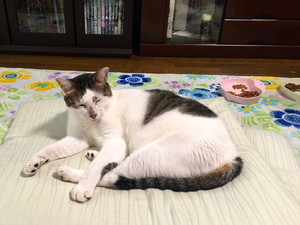 totsuru2016-10-22 totsuru2016-10-22