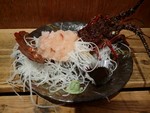 trickstar22016-01-18 trickstar22016-01-18