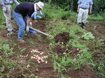 uenomurasouken2005-07-23 uenomurasouken2005-07-23