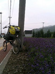 w3m2005-07-31 w3m2005-07-31