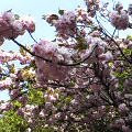 wac2004-04-17 wac2004-04-17