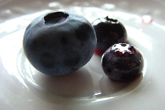 Blueberry Blueberry