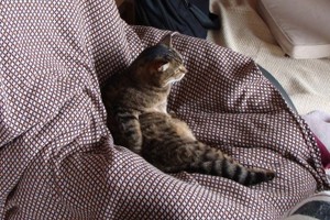 くつろぎ くつろぎ