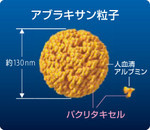 アブラキサン アブラキサン