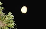 頭上に煌々と、「九月十一日」のお月さ 頭上に煌々と、「九月十一日」のお月さ