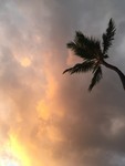 yaun2017-09-18 yaun2017-09-18