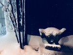 yaun2018-01-23 yaun2018-01-23