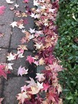 yaun2018-10-12 yaun2018-10-12