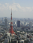 東京タワーを真横から 東京タワーを真横から