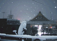 雪の浅草 雪の浅草