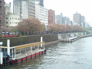 yms-zun2006-04-12 yms-zun2006-04-12