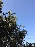 yoaa2018-01-21 yoaa2018-01-21