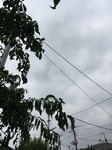 yoaa2018-07-19 yoaa2018-07-19