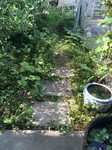 yoaa2018-07-21 yoaa2018-07-21